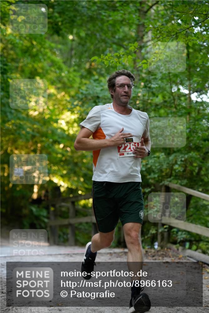 28.09.2025 - 33. Volkslauf durch das schöne Alstertal Patografie http://msf.ph/oto/8966163 28.09.2025 09:30:29 Laufen 1226 meine-sportfotos.de