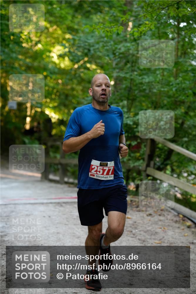 28.09.2025 - 33. Volkslauf durch das schöne Alstertal Patografie http://msf.ph/oto/8966164 28.09.2025 09:30:37 Laufen 2577 meine-sportfotos.de