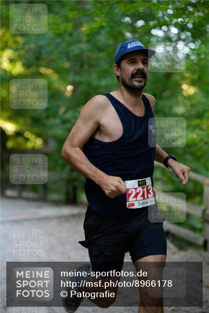 28.09.2025 - 33. Volkslauf durch das schöne Alstertal Patografie http://msf.ph/oto/8966178 28.09.2025 09:31:30 Laufen 2213 meine-sportfotos.de