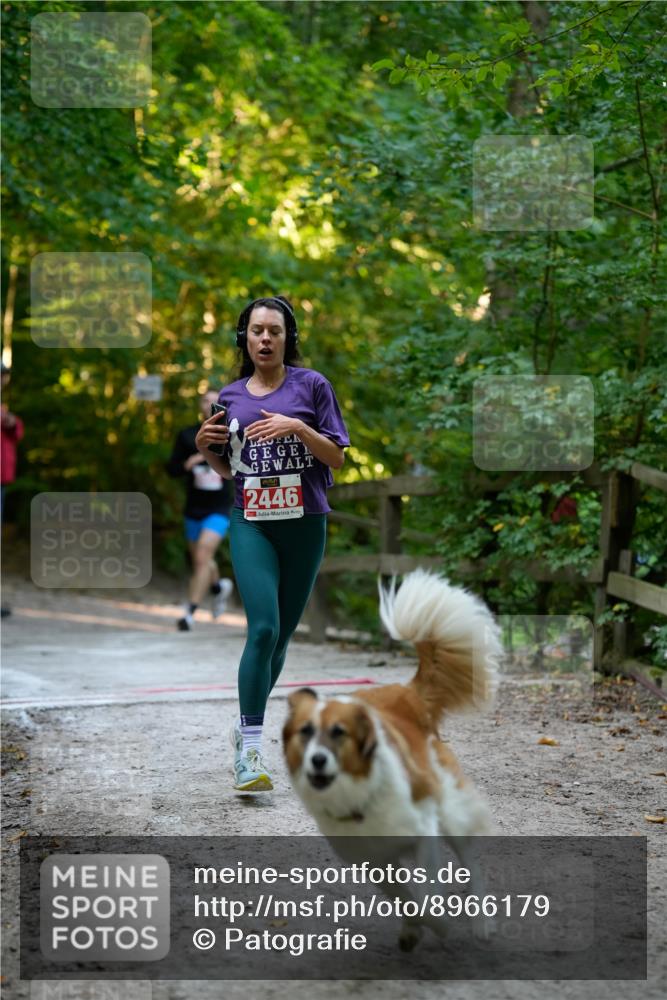 28.09.2025 - 33. Volkslauf durch das schöne Alstertal Patografie http://msf.ph/oto/8966179 28.09.2025 09:31:35 Laufen 2446 meine-sportfotos.de