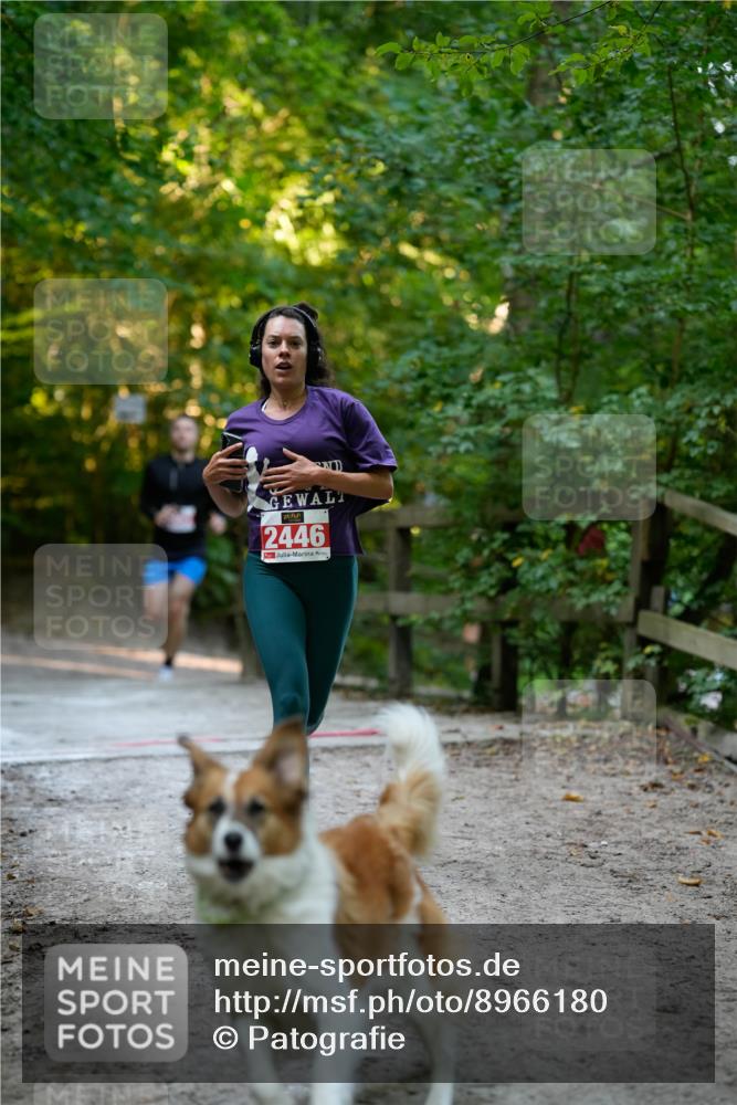 28.09.2025 - 33. Volkslauf durch das schöne Alstertal Patografie http://msf.ph/oto/8966180 28.09.2025 09:31:35 Laufen 2446 meine-sportfotos.de
