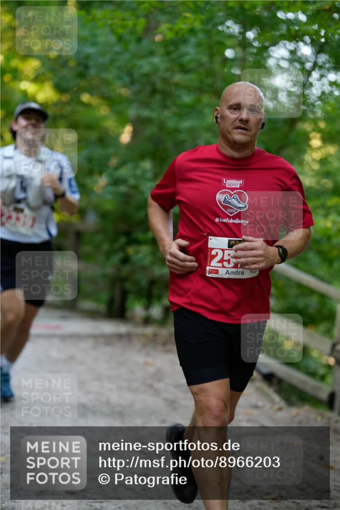 28.09.2025 - 33. Volkslauf durch das schöne Alstertal Patografie http://msf.ph/oto/8966203 28.09.2025 09:32:51 Laufen 2570 meine-sportfotos.de