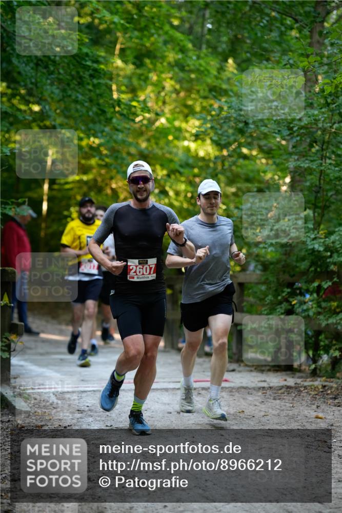 28.09.2025 - 33. Volkslauf durch das schöne Alstertal Patografie http://msf.ph/oto/8966212 28.09.2025 09:33:04 Laufen 2607 meine-sportfotos.de