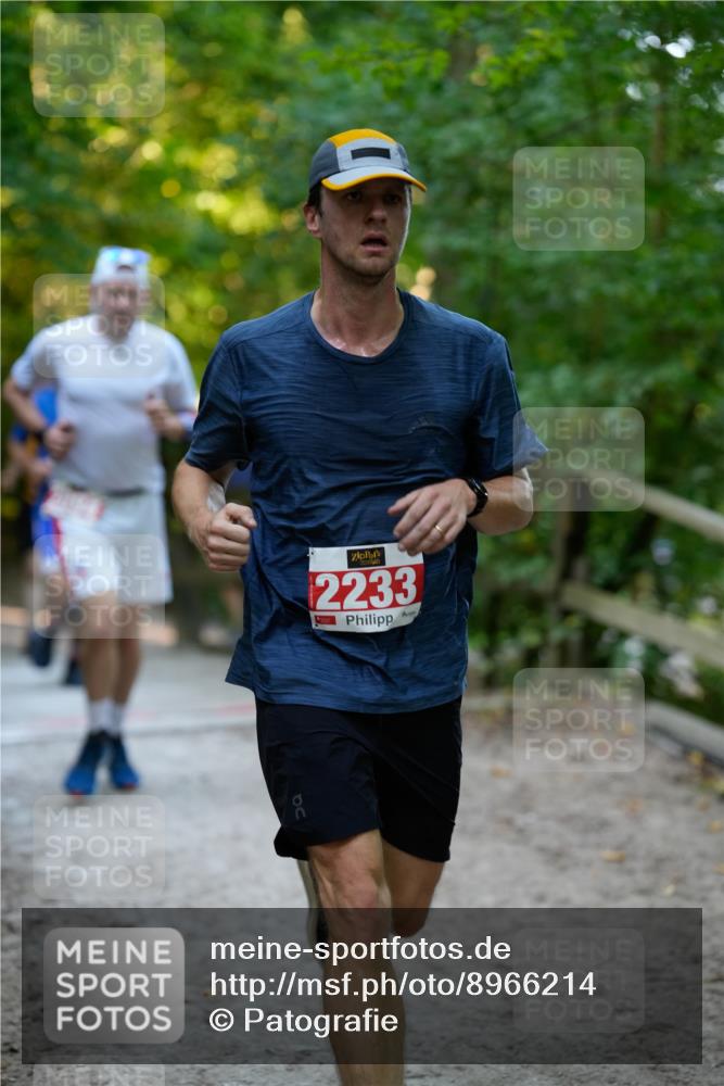 28.09.2025 - 33. Volkslauf durch das schöne Alstertal Patografie http://msf.ph/oto/8966214 28.09.2025 09:33:08 Laufen 2233 meine-sportfotos.de