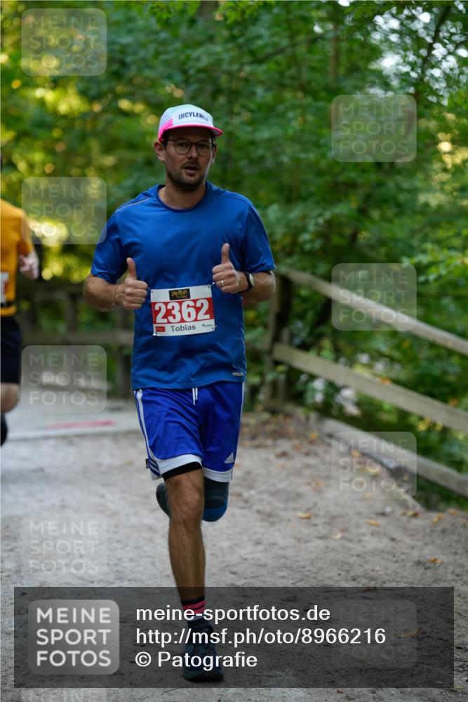 28.09.2025 - 33. Volkslauf durch das schöne Alstertal Patografie http://msf.ph/oto/8966216 28.09.2025 09:33:10 Laufen 2362 meine-sportfotos.de