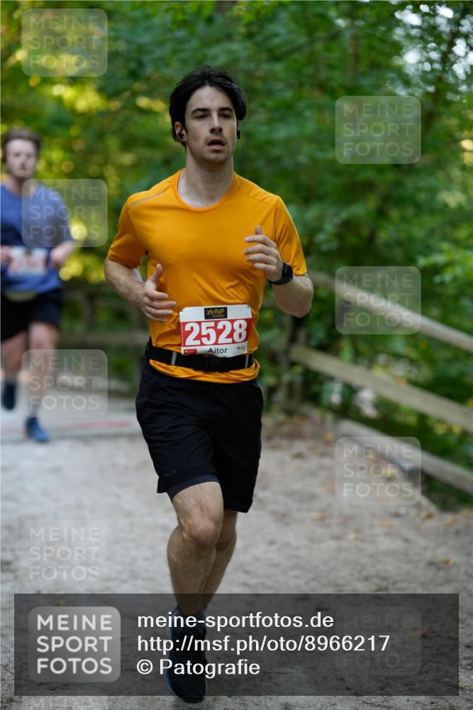 28.09.2025 - 33. Volkslauf durch das schöne Alstertal Patografie http://msf.ph/oto/8966217 28.09.2025 09:33:12 Laufen 2528 meine-sportfotos.de
