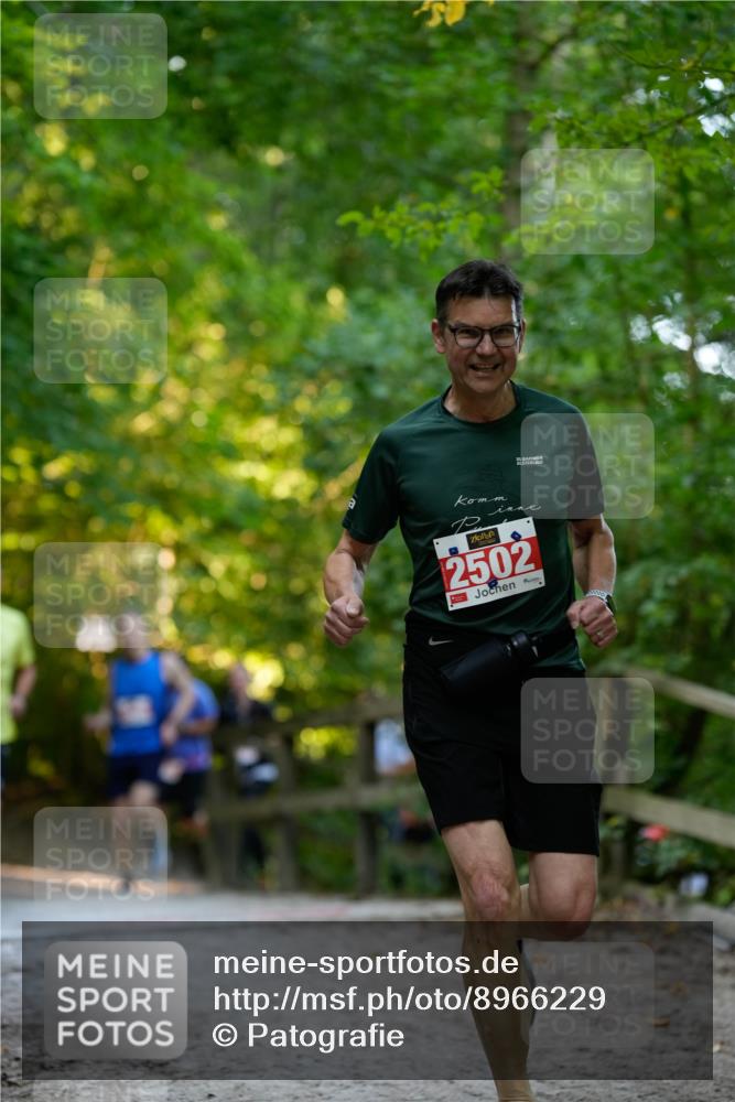 28.09.2025 - 33. Volkslauf durch das schöne Alstertal Patografie http://msf.ph/oto/8966229 28.09.2025 09:33:34 Laufen 2502 meine-sportfotos.de