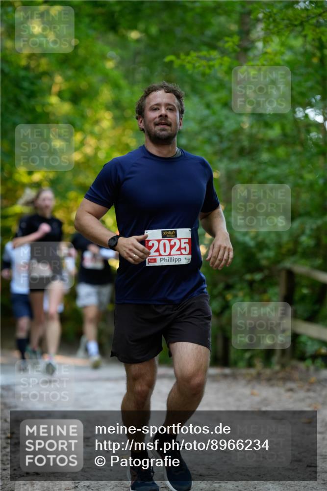 28.09.2025 - 33. Volkslauf durch das schöne Alstertal Patografie http://msf.ph/oto/8966234 28.09.2025 09:33:41 Laufen 2025 meine-sportfotos.de