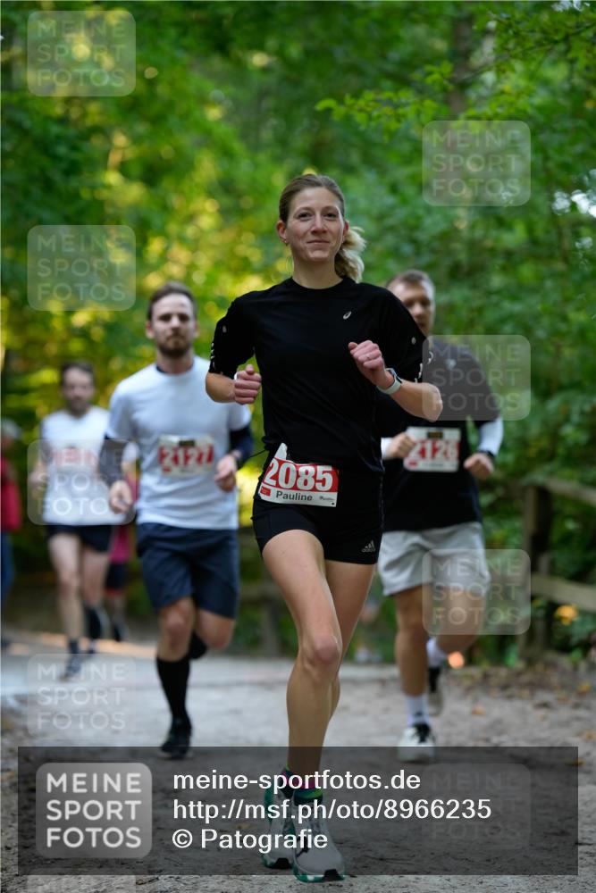 28.09.2025 - 33. Volkslauf durch das schöne Alstertal Patografie http://msf.ph/oto/8966235 28.09.2025 09:33:43 Laufen 2127, 2085, 2126 meine-sportfotos.de