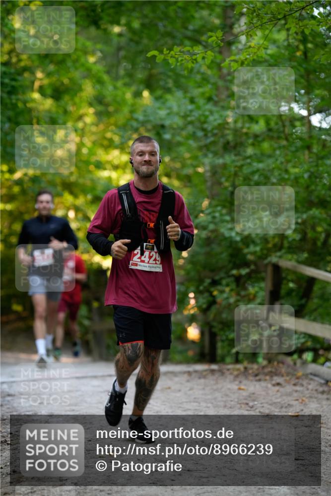 28.09.2025 - 33. Volkslauf durch das schöne Alstertal Patografie http://msf.ph/oto/8966239 28.09.2025 09:33:46 Laufen 2429 meine-sportfotos.de