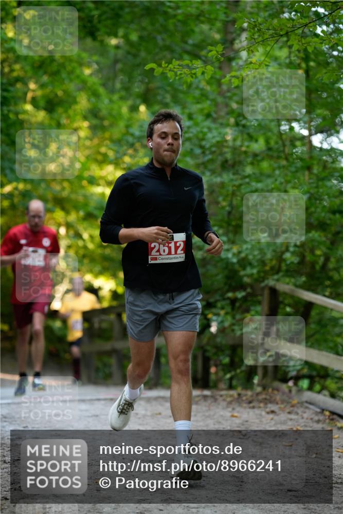 28.09.2025 - 33. Volkslauf durch das schöne Alstertal Patografie http://msf.ph/oto/8966241 28.09.2025 09:33:48 Laufen 2612 meine-sportfotos.de