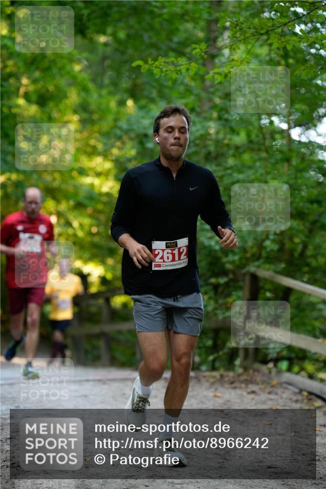 28.09.2025 - 33. Volkslauf durch das schöne Alstertal Patografie http://msf.ph/oto/8966242 28.09.2025 09:33:48 Laufen 2612 meine-sportfotos.de