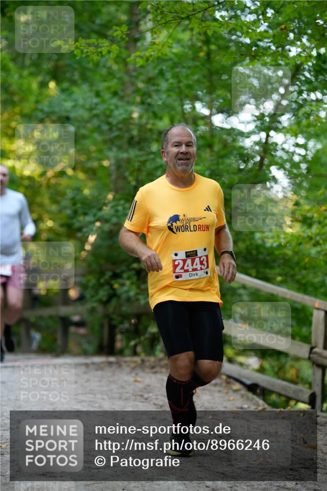 28.09.2025 - 33. Volkslauf durch das schöne Alstertal Patografie http://msf.ph/oto/8966246 28.09.2025 09:33:52 Laufen 2443 meine-sportfotos.de