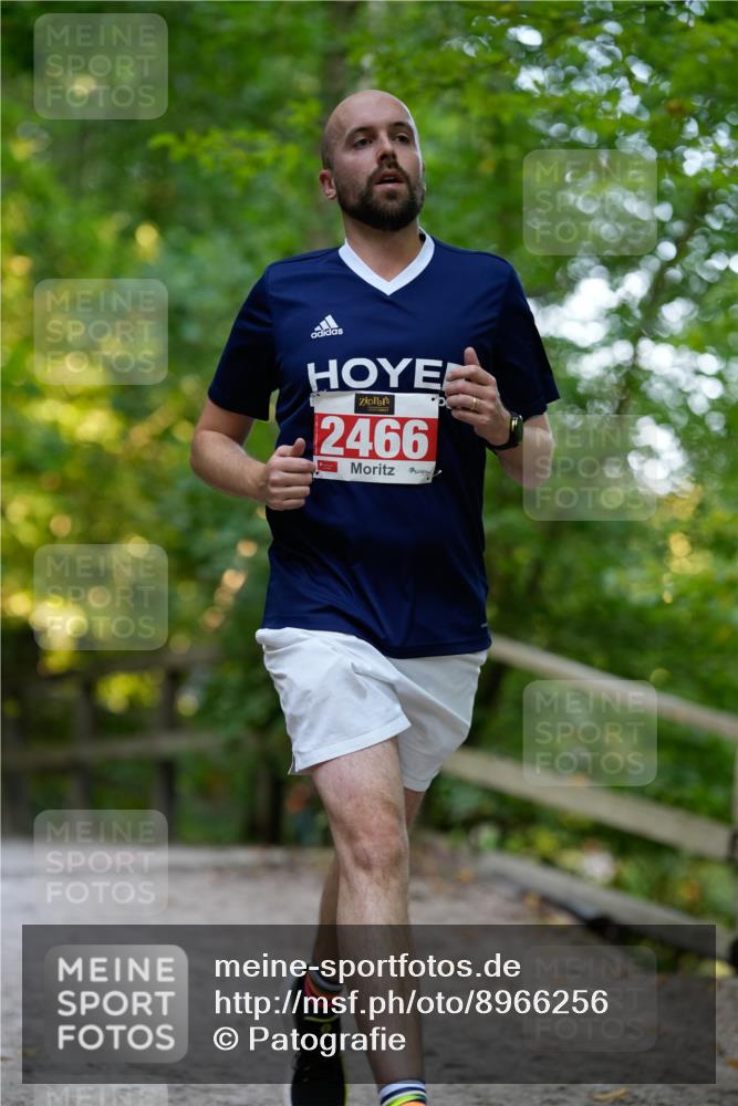 28.09.2025 - 33. Volkslauf durch das schöne Alstertal Patografie http://msf.ph/oto/8966256 28.09.2025 09:34:03 Laufen 2466 meine-sportfotos.de