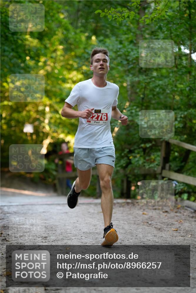 28.09.2025 - 33. Volkslauf durch das schöne Alstertal Patografie http://msf.ph/oto/8966257 28.09.2025 09:34:05 Laufen 2276 meine-sportfotos.de