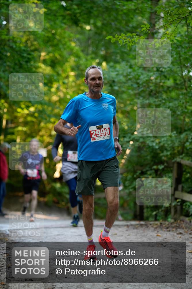 28.09.2025 - 33. Volkslauf durch das schöne Alstertal Patografie http://msf.ph/oto/8966266 28.09.2025 09:34:19 Laufen 2999 meine-sportfotos.de