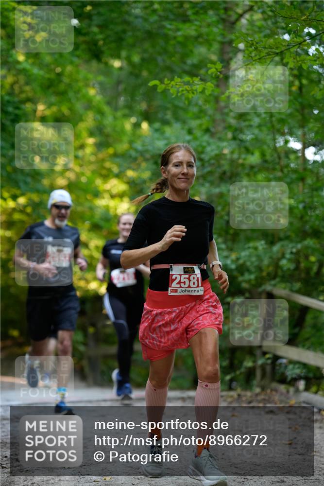 28.09.2025 - 33. Volkslauf durch das schöne Alstertal Patografie http://msf.ph/oto/8966272 28.09.2025 09:34:29 Laufen 2581 meine-sportfotos.de