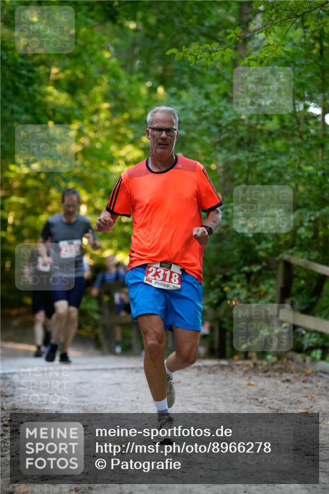 28.09.2025 - 33. Volkslauf durch das schöne Alstertal Patografie http://msf.ph/oto/8966278 28.09.2025 09:34:34 Laufen 2318 meine-sportfotos.de