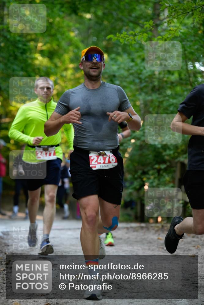 28.09.2025 - 33. Volkslauf durch das schöne Alstertal Patografie http://msf.ph/oto/8966285 28.09.2025 09:34:57 Laufen 24772, 2476 meine-sportfotos.de