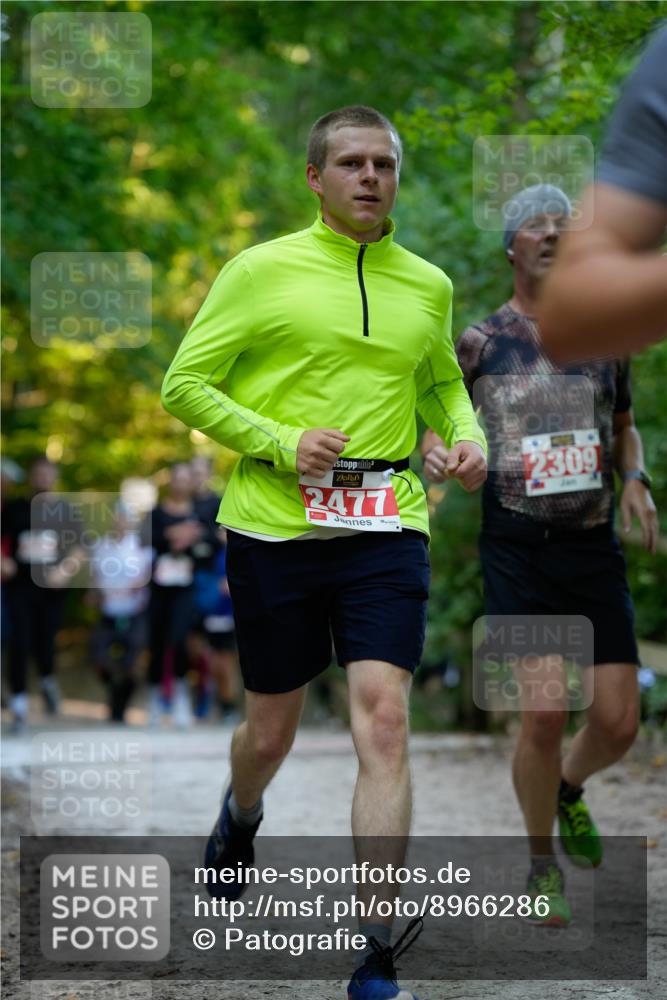 28.09.2025 - 33. Volkslauf durch das schöne Alstertal Patografie http://msf.ph/oto/8966286 28.09.2025 09:34:57 Laufen 2477, 2309 meine-sportfotos.de