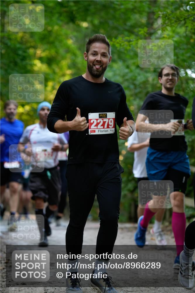 28.09.2025 - 33. Volkslauf durch das schöne Alstertal Patografie http://msf.ph/oto/8966289 28.09.2025 09:35:01 Laufen 2279 meine-sportfotos.de