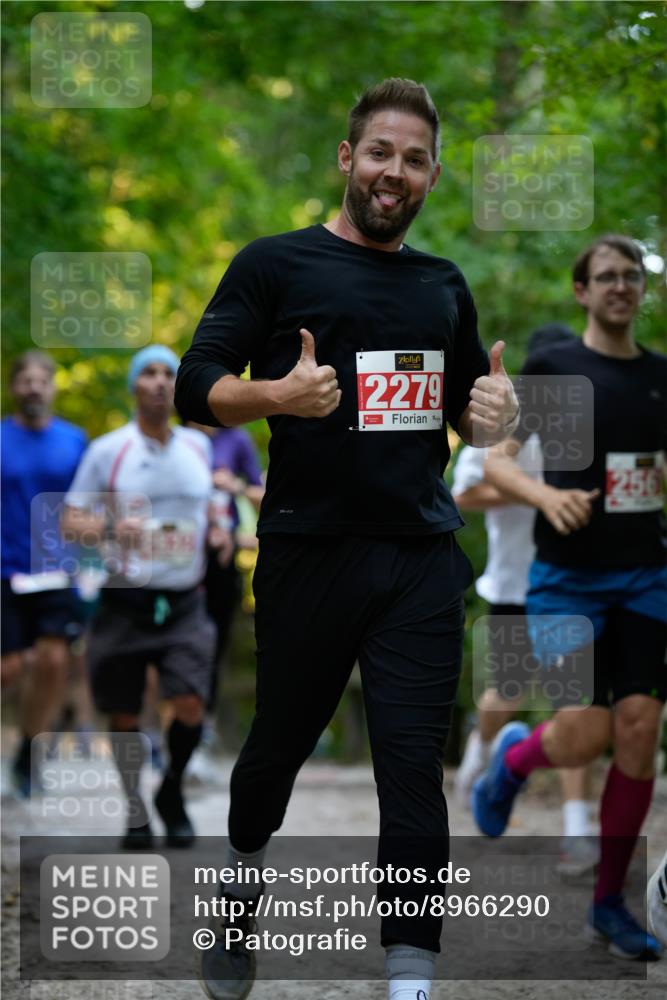 28.09.2025 - 33. Volkslauf durch das schöne Alstertal Patografie http://msf.ph/oto/8966290 28.09.2025 09:35:01 Laufen 381, 2279, 256 meine-sportfotos.de