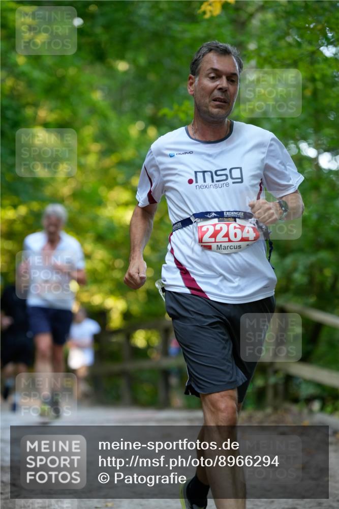 28.09.2025 - 33. Volkslauf durch das schöne Alstertal Patografie http://msf.ph/oto/8966294 28.09.2025 09:35:07 Laufen 2264 meine-sportfotos.de