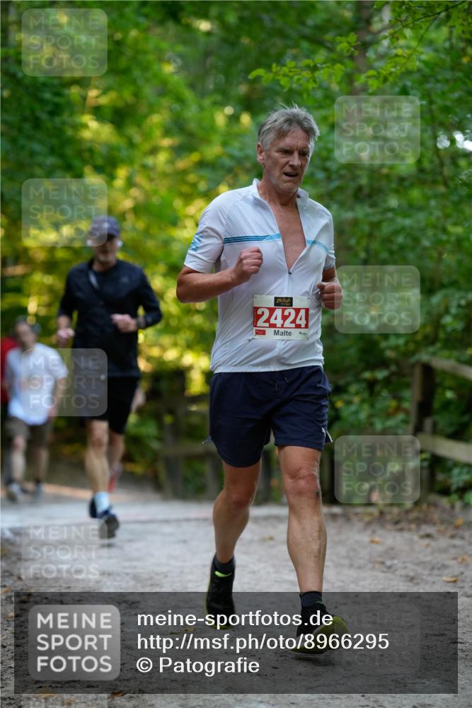 28.09.2025 - 33. Volkslauf durch das schöne Alstertal Patografie http://msf.ph/oto/8966295 28.09.2025 09:35:09 Laufen 2424 meine-sportfotos.de