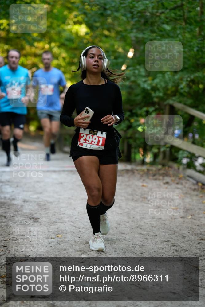 28.09.2025 - 33. Volkslauf durch das schöne Alstertal Patografie http://msf.ph/oto/8966311 28.09.2025 09:35:36 Laufen 2991 meine-sportfotos.de