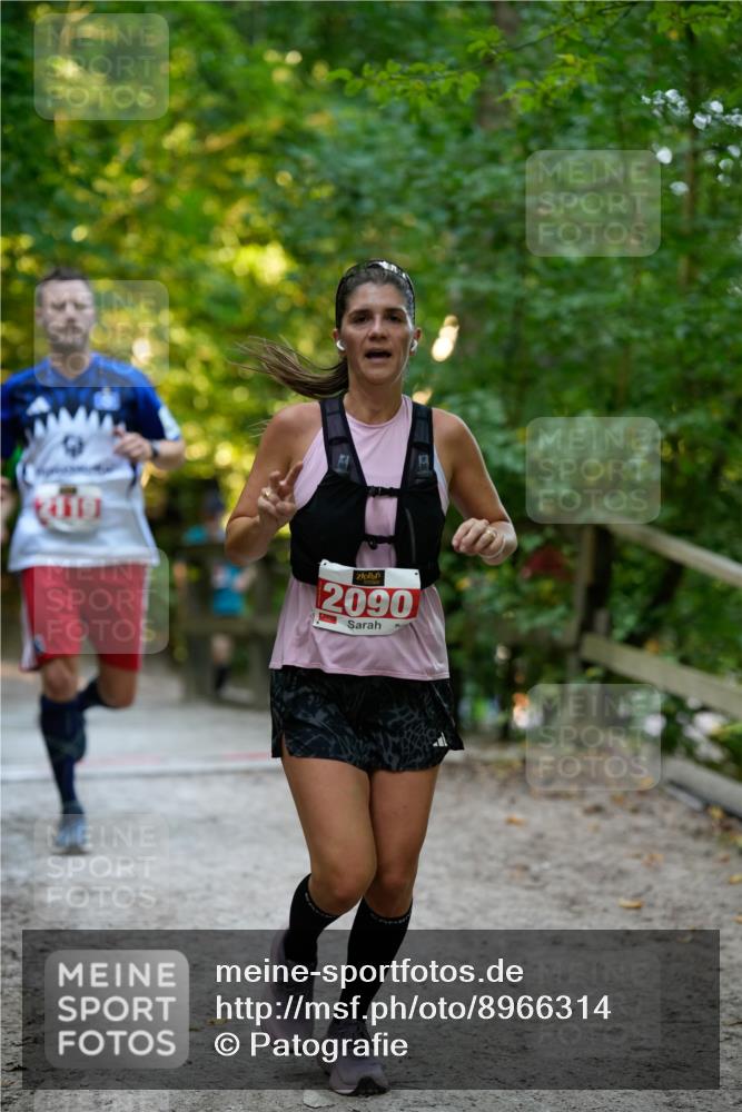 28.09.2025 - 33. Volkslauf durch das schöne Alstertal Patografie http://msf.ph/oto/8966314 28.09.2025 09:35:40 Laufen 119, 2090 meine-sportfotos.de