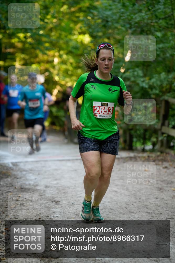 28.09.2025 - 33. Volkslauf durch das schöne Alstertal Patografie http://msf.ph/oto/8966317 28.09.2025 09:35:43 Laufen 2653 meine-sportfotos.de