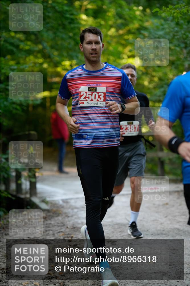 28.09.2025 - 33. Volkslauf durch das schöne Alstertal Patografie http://msf.ph/oto/8966318 28.09.2025 09:35:47 Laufen 2503, 2387 meine-sportfotos.de