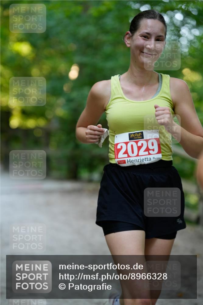 28.09.2025 - 33. Volkslauf durch das schöne Alstertal Patografie http://msf.ph/oto/8966328 28.09.2025 09:36:02 Laufen 2029 meine-sportfotos.de