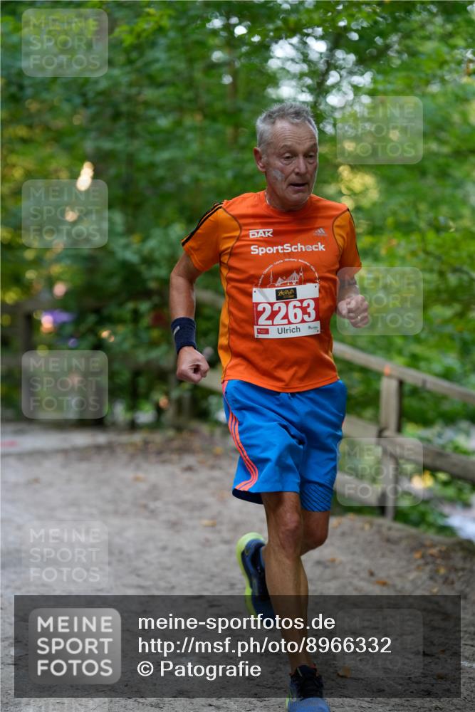 28.09.2025 - 33. Volkslauf durch das schöne Alstertal Patografie http://msf.ph/oto/8966332 28.09.2025 09:36:14 Laufen 2263 meine-sportfotos.de