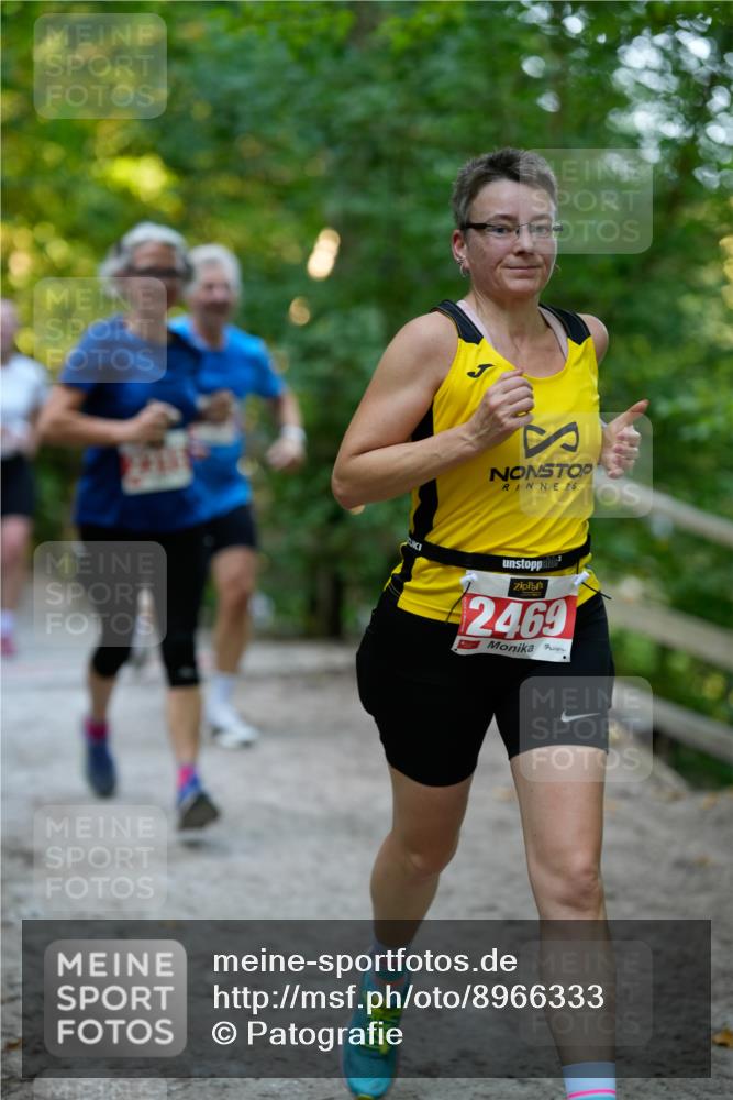 28.09.2025 - 33. Volkslauf durch das schöne Alstertal Patografie http://msf.ph/oto/8966333 28.09.2025 09:36:15 Laufen 2469 meine-sportfotos.de