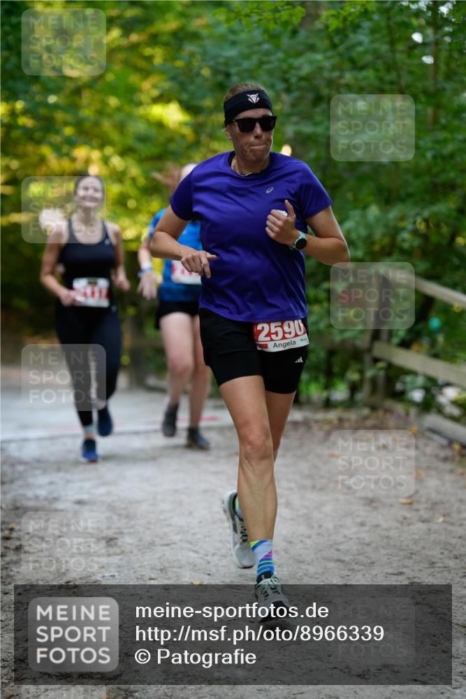 28.09.2025 - 33. Volkslauf durch das schöne Alstertal Patografie http://msf.ph/oto/8966339 28.09.2025 09:36:19 Laufen 2590 meine-sportfotos.de
