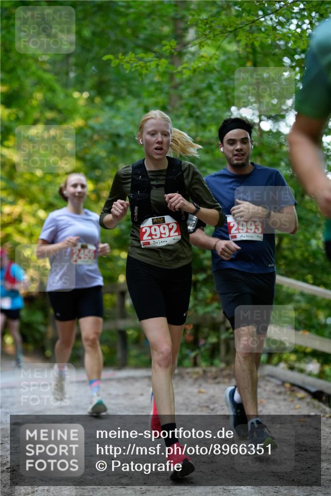 28.09.2025 - 33. Volkslauf durch das schöne Alstertal Patografie http://msf.ph/oto/8966351 28.09.2025 09:36:43 Laufen 2992, 2993 meine-sportfotos.de