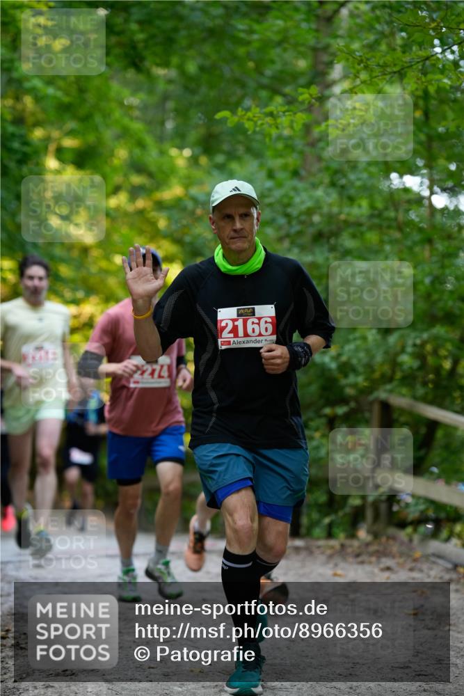 28.09.2025 - 33. Volkslauf durch das schöne Alstertal Patografie http://msf.ph/oto/8966356 28.09.2025 09:36:49 Laufen 274, 2166 meine-sportfotos.de
