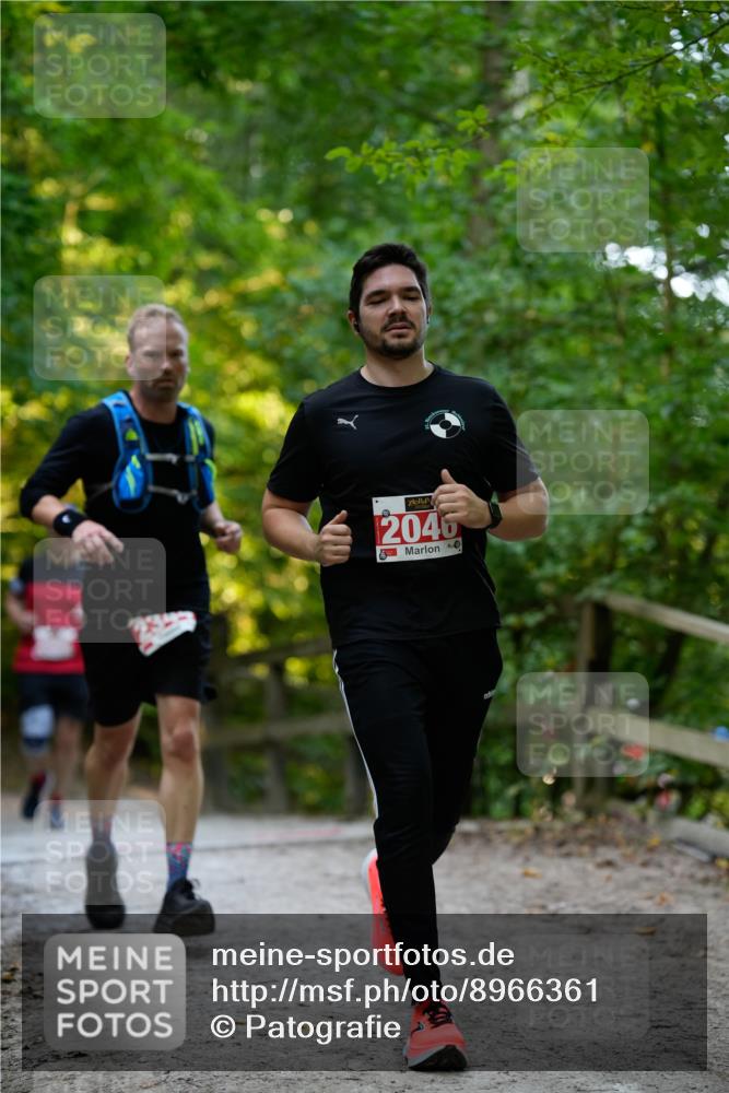 28.09.2025 - 33. Volkslauf durch das schöne Alstertal Patografie http://msf.ph/oto/8966361 28.09.2025 09:36:53 Laufen 2046 meine-sportfotos.de