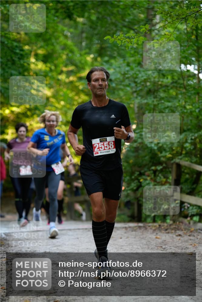28.09.2025 - 33. Volkslauf durch das schöne Alstertal Patografie http://msf.ph/oto/8966372 28.09.2025 09:37:10 Laufen 2558 meine-sportfotos.de