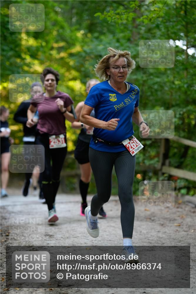 28.09.2025 - 33. Volkslauf durch das schöne Alstertal Patografie http://msf.ph/oto/8966374 28.09.2025 09:37:11 Laufen 260 meine-sportfotos.de
