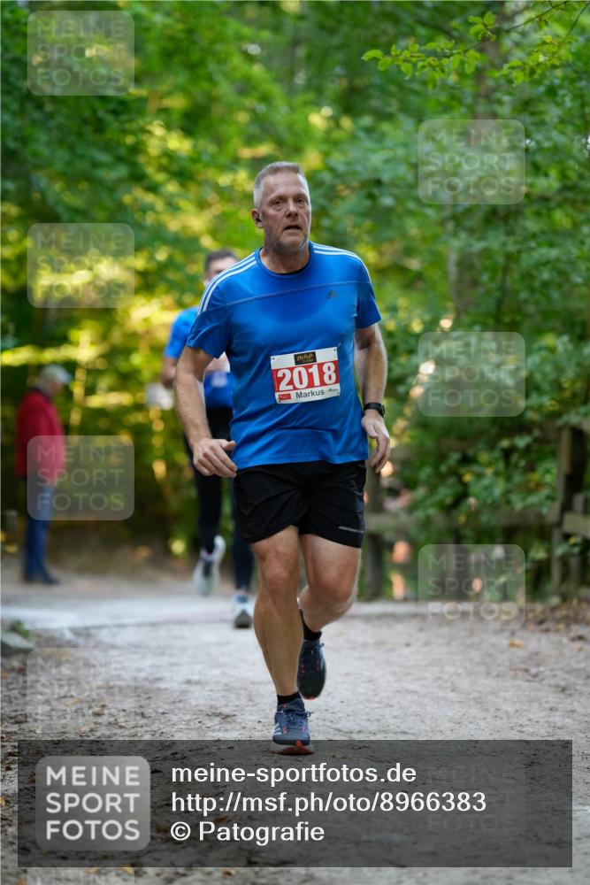 28.09.2025 - 33. Volkslauf durch das schöne Alstertal Patografie http://msf.ph/oto/8966383 28.09.2025 09:37:32 Laufen 2018 meine-sportfotos.de