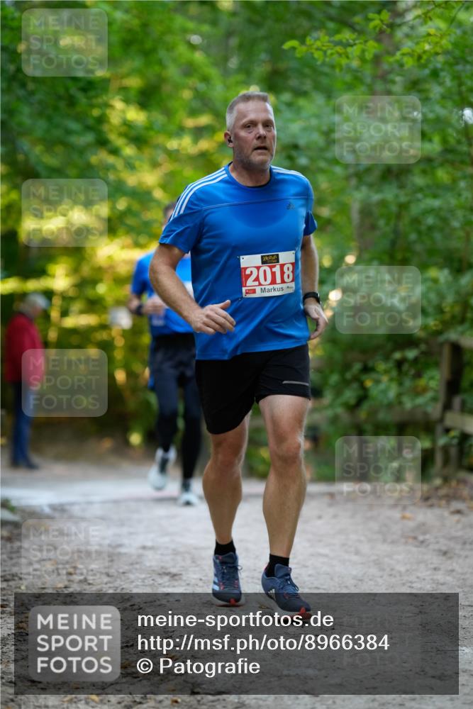 28.09.2025 - 33. Volkslauf durch das schöne Alstertal Patografie http://msf.ph/oto/8966384 28.09.2025 09:37:32 Laufen 2018 meine-sportfotos.de
