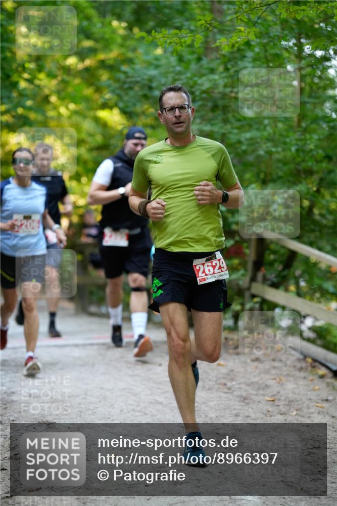 28.09.2025 - 33. Volkslauf durch das schöne Alstertal Patografie http://msf.ph/oto/8966397 28.09.2025 09:37:56 Laufen 2001, 2629 meine-sportfotos.de