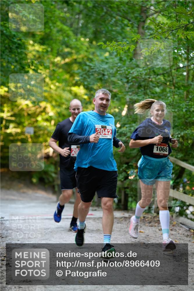 28.09.2025 - 33. Volkslauf durch das schöne Alstertal Patografie http://msf.ph/oto/8966409 28.09.2025 09:38:26 Laufen 20, 2042, 1068 meine-sportfotos.de