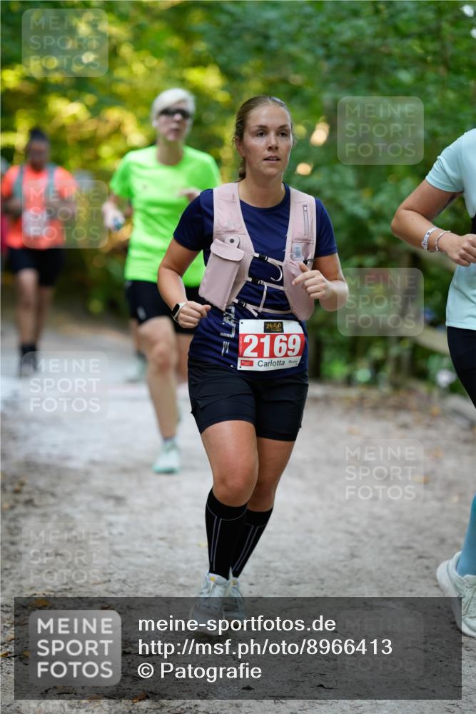 28.09.2025 - 33. Volkslauf durch das schöne Alstertal Patografie http://msf.ph/oto/8966413 28.09.2025 09:38:37 Laufen 2169 meine-sportfotos.de