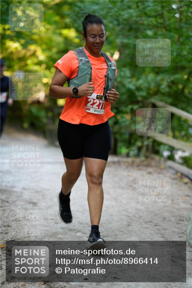 28.09.2025 - 33. Volkslauf durch das schöne Alstertal Patografie http://msf.ph/oto/8966414 28.09.2025 09:38:40 Laufen 2094, 2277 meine-sportfotos.de