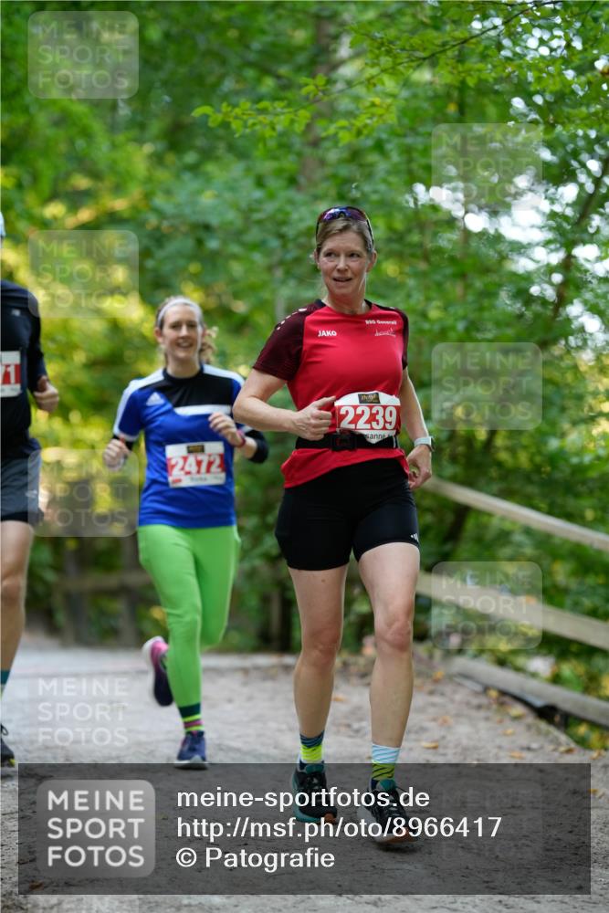 28.09.2025 - 33. Volkslauf durch das schöne Alstertal Patografie http://msf.ph/oto/8966417 28.09.2025 09:38:46 Laufen 2472, 2239 meine-sportfotos.de