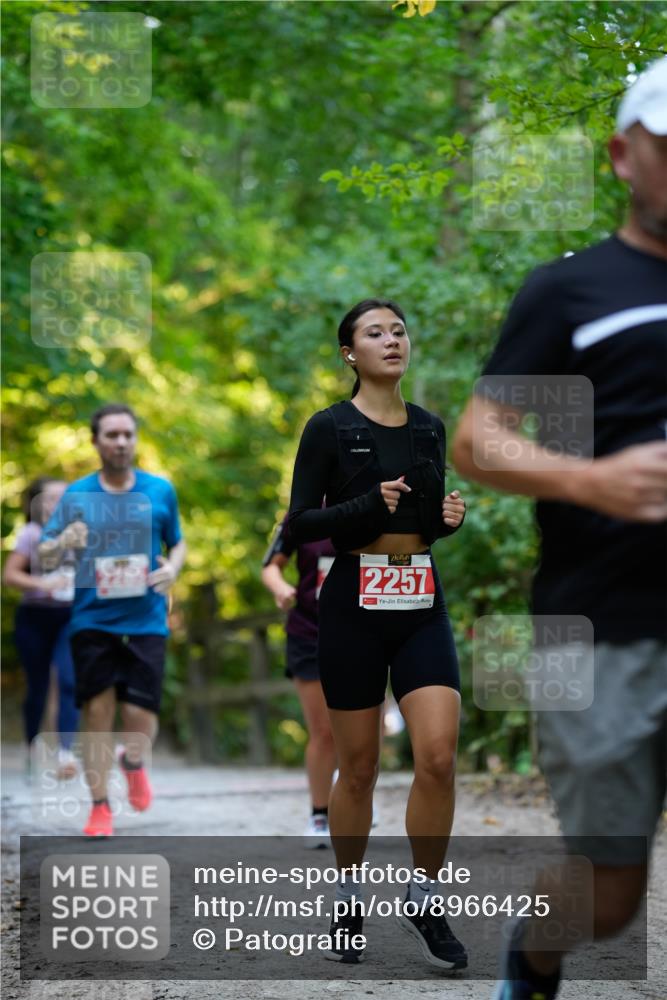 28.09.2025 - 33. Volkslauf durch das schöne Alstertal Patografie http://msf.ph/oto/8966425 28.09.2025 09:39:04 Laufen 2257 meine-sportfotos.de