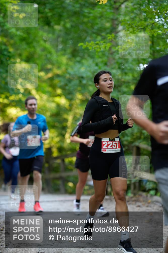 28.09.2025 - 33. Volkslauf durch das schöne Alstertal Patografie http://msf.ph/oto/8966427 28.09.2025 09:39:04 Laufen 2257 meine-sportfotos.de
